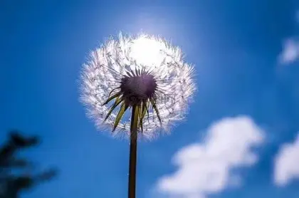 180