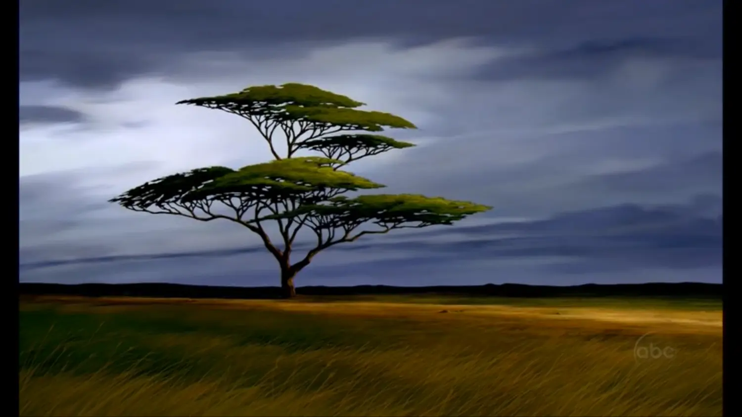Resize,w 360,h 240